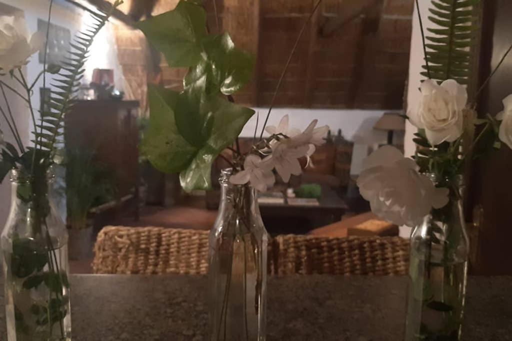 Pantera Lodge & Cheetah Cottage 요하네스버그 외부 사진