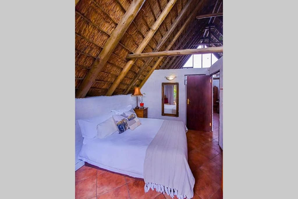 Pantera Lodge & Cheetah Cottage 요하네스버그 외부 사진
